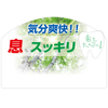 �u���̓��vPOP